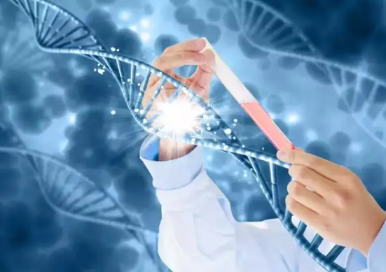 北京职业供卵,北京市妇产医院供卵代孕多少钱