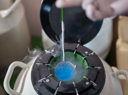 北京借卵子流程,北京三代供卵代孕包男孩靠谱吗