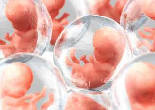 北京代生服务,北京供卵私立,北京三代供卵代孕包男孩靠谱吗