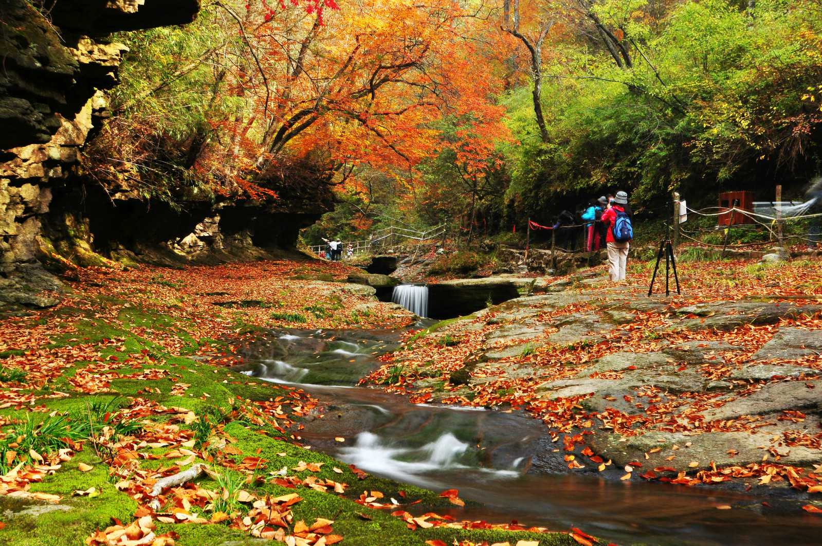北京赴泰正规试管中介查询(泰国试管中介行内秘密)