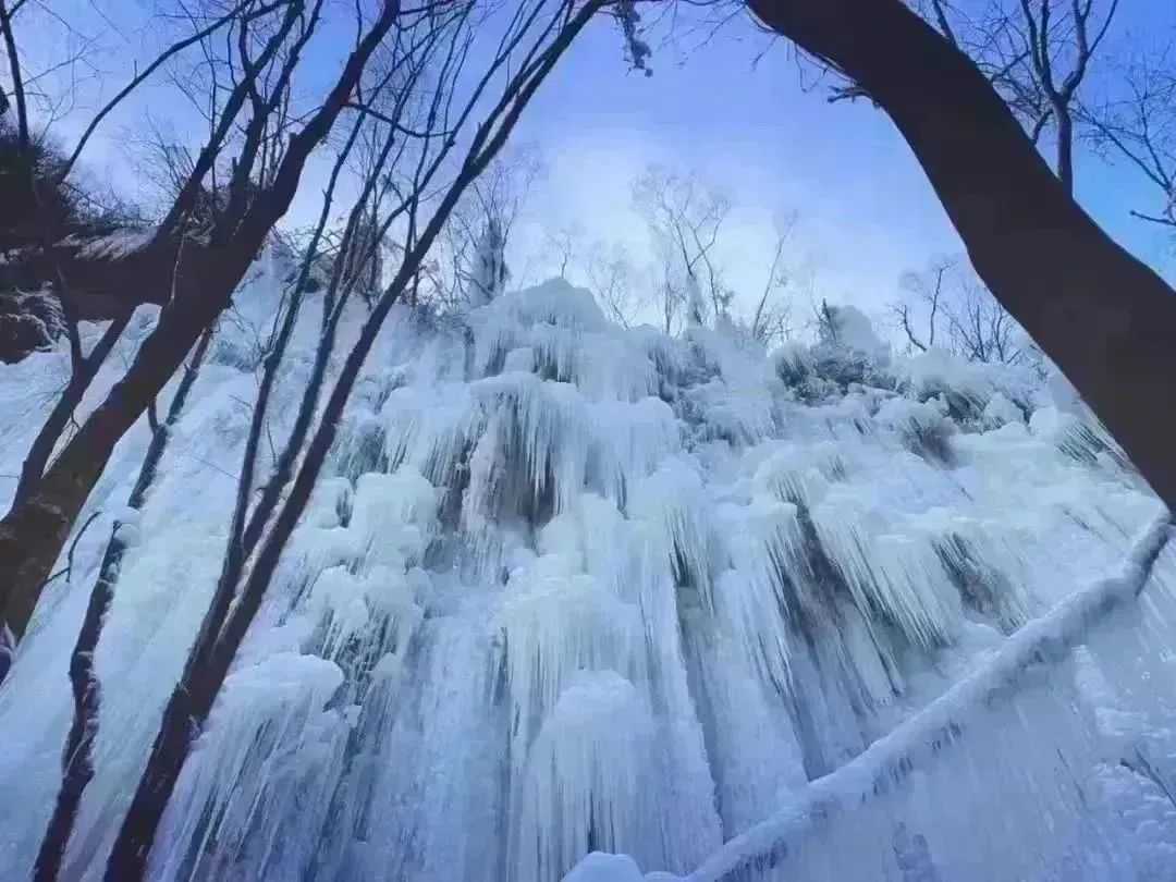 北京代生育中心,北京供卵中心医院,，焦点访谈北京供卵代孕孩子中介