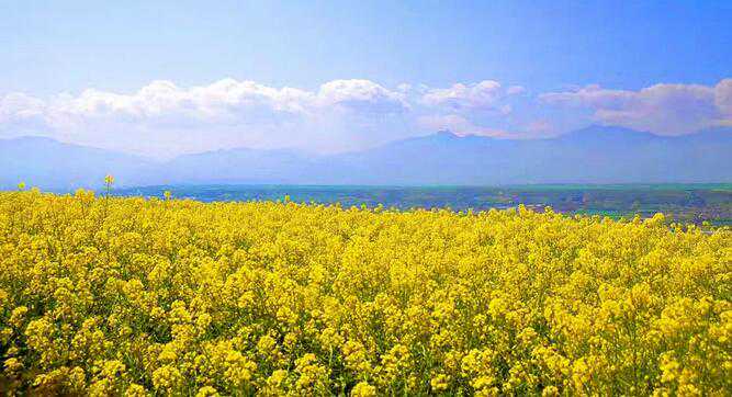 北京失独助孕,北京市昌平区三代供卵代孕价格