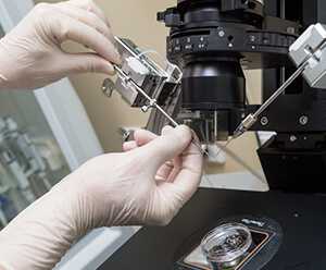 北京试管生子机构|北京朝阳医院做供精试管费用是多少?北京朝阳医院供精试