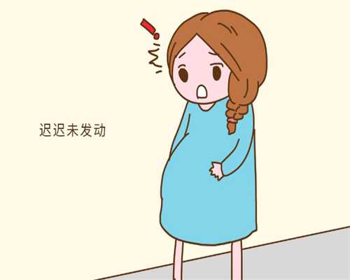 北京找人代怀孩子|秦皇岛三代试管北京哪个医院